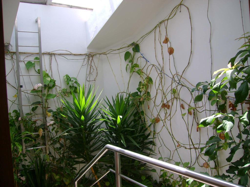 Residencial Moeda Hotel Coimbra Kültér fotó