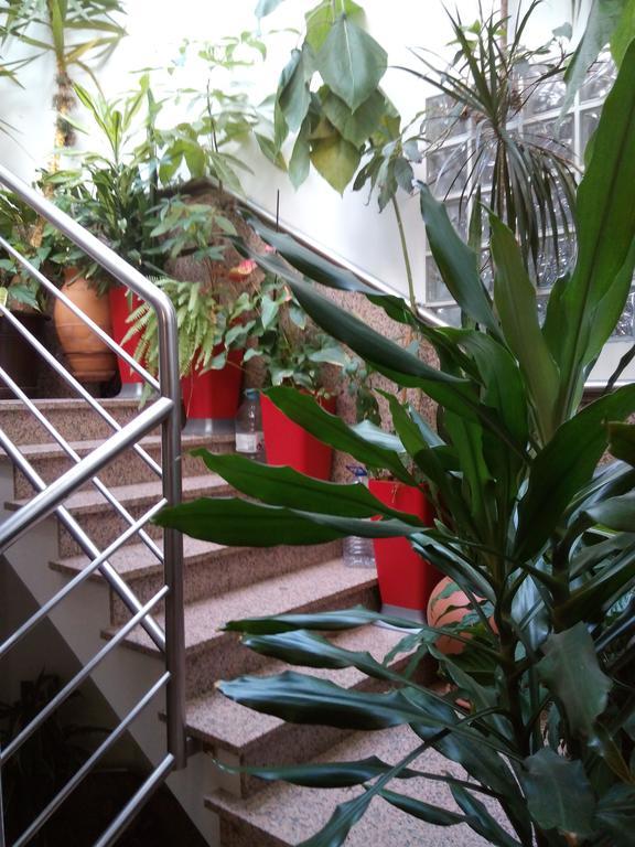 Residencial Moeda Hotel Coimbra Kültér fotó
